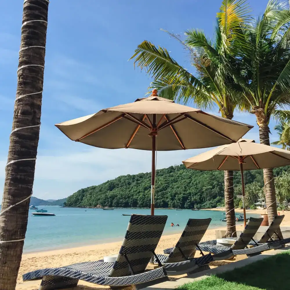 The Rise of AI-Powered Personal Assistants: How They Manage