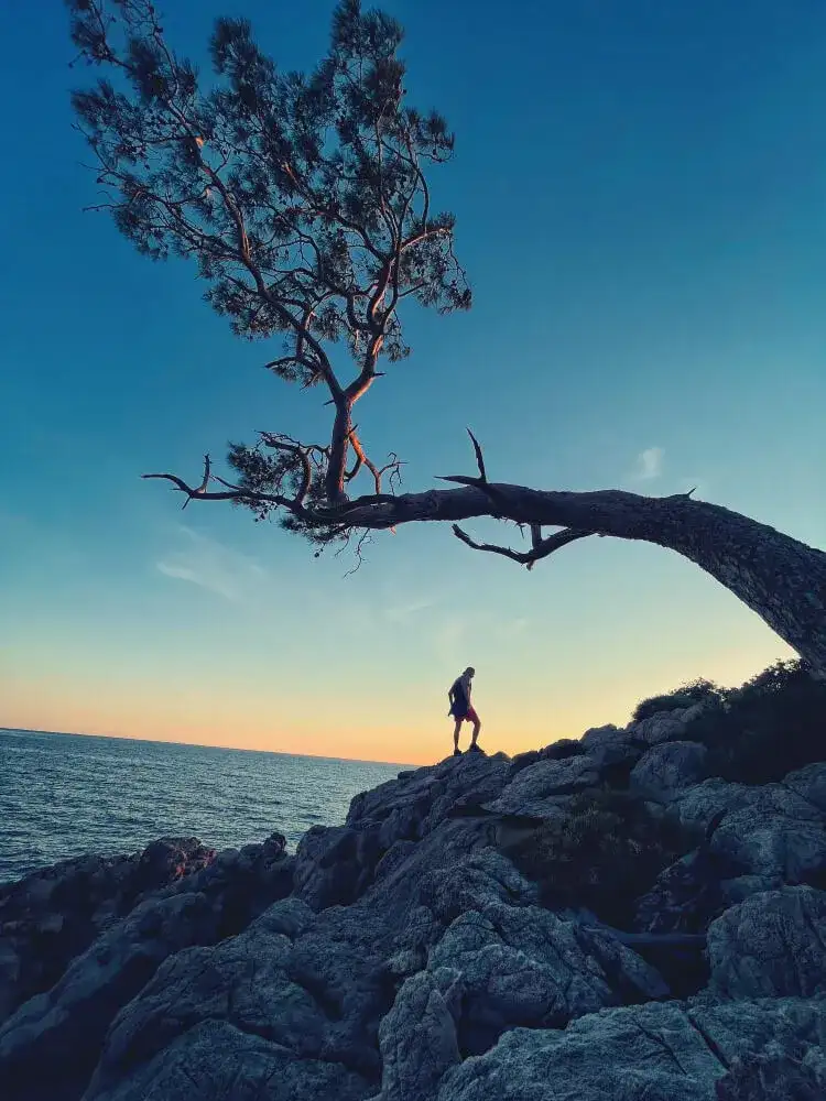 A Guide to The Rise of Gourmet Street Food: Trends and Top Picks